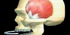 apertura articolazione temporo-mandibolare