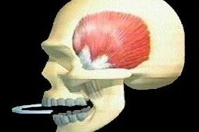 apertura articolazione temporo-mandibolare